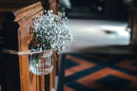 white petaled flower on glass vase photo