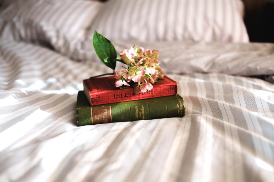 two books on bed