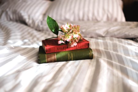 two books on bed