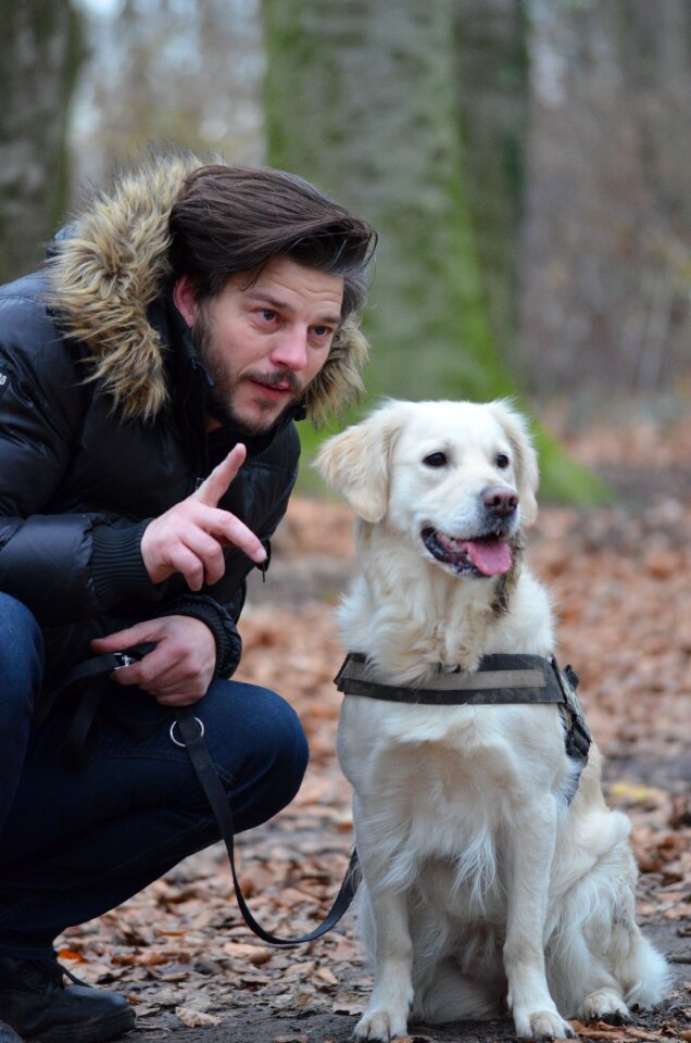 Dog runs animal nature