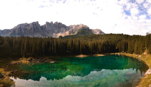 green forest near body of water during daytime