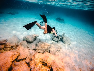 person wearing diving suit underwater shallow focus photography photo