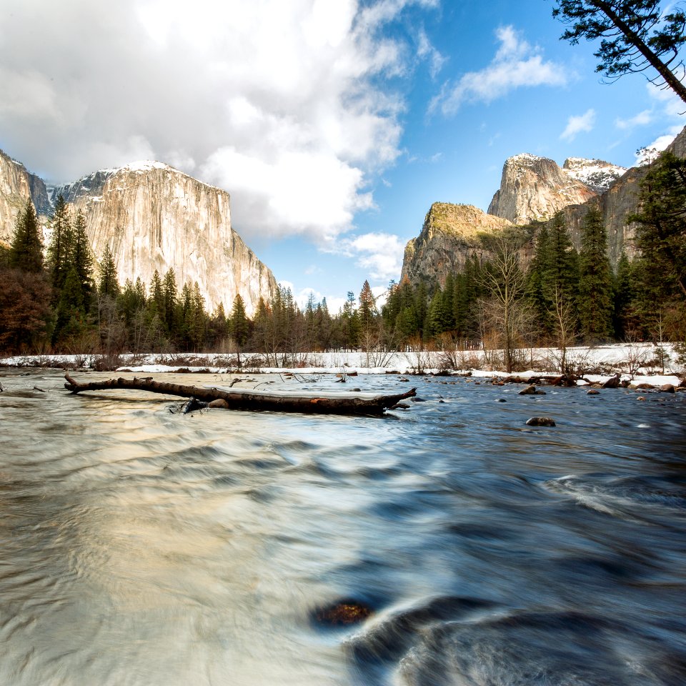 photo of driftwood on water