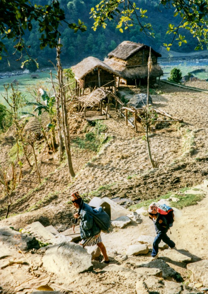 Film photography, Nature, People