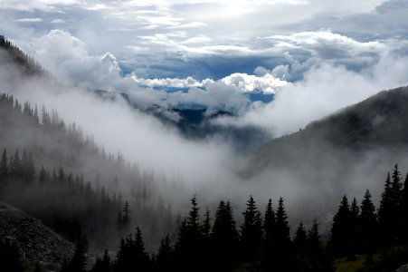 photography of mountain surrounded by fogs outdoor