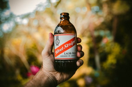 person holding Bed Script lager beer bottle shallow focus photography