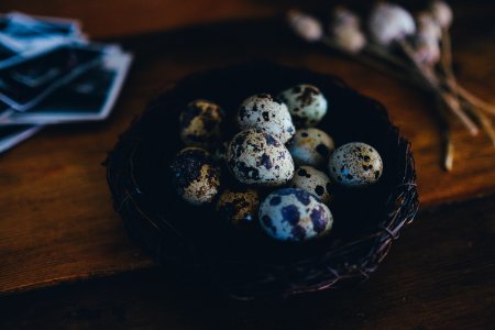 quail eggs on nest on wooden surface photo