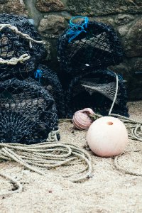 black fish nets photo