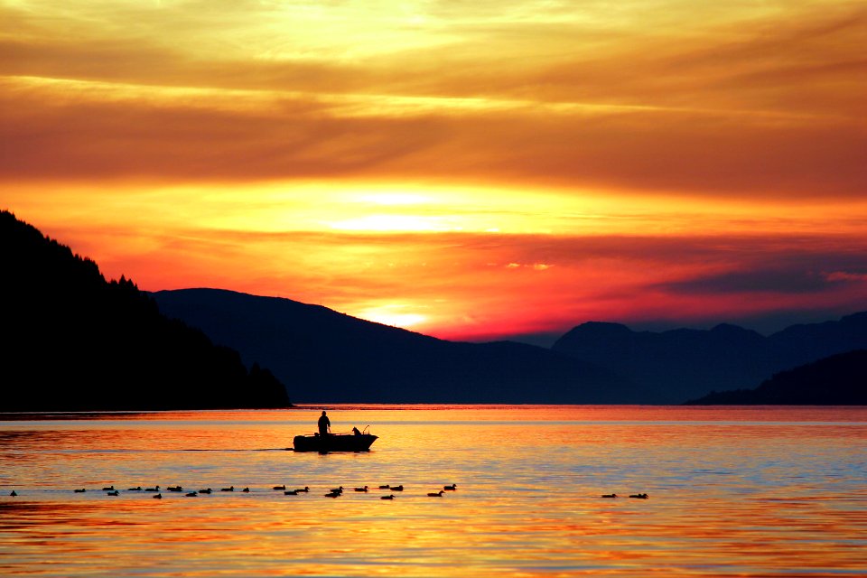 silhouette photography of person standing on boat