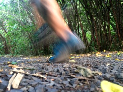 Blurry, Runner, Forest photo