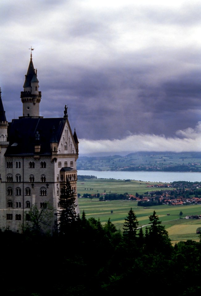 concrete castle surrounded with trees