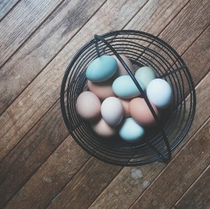 eggs in black steel rack photo