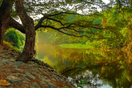 Sanjay g, Hi national park, Mumbai