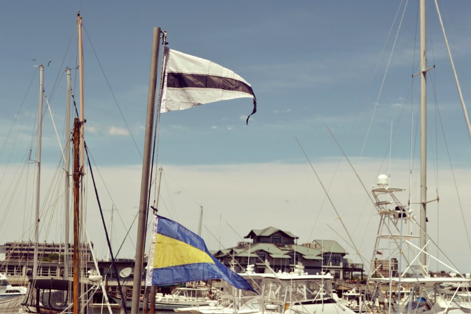 Boston, Marina park drive, United states