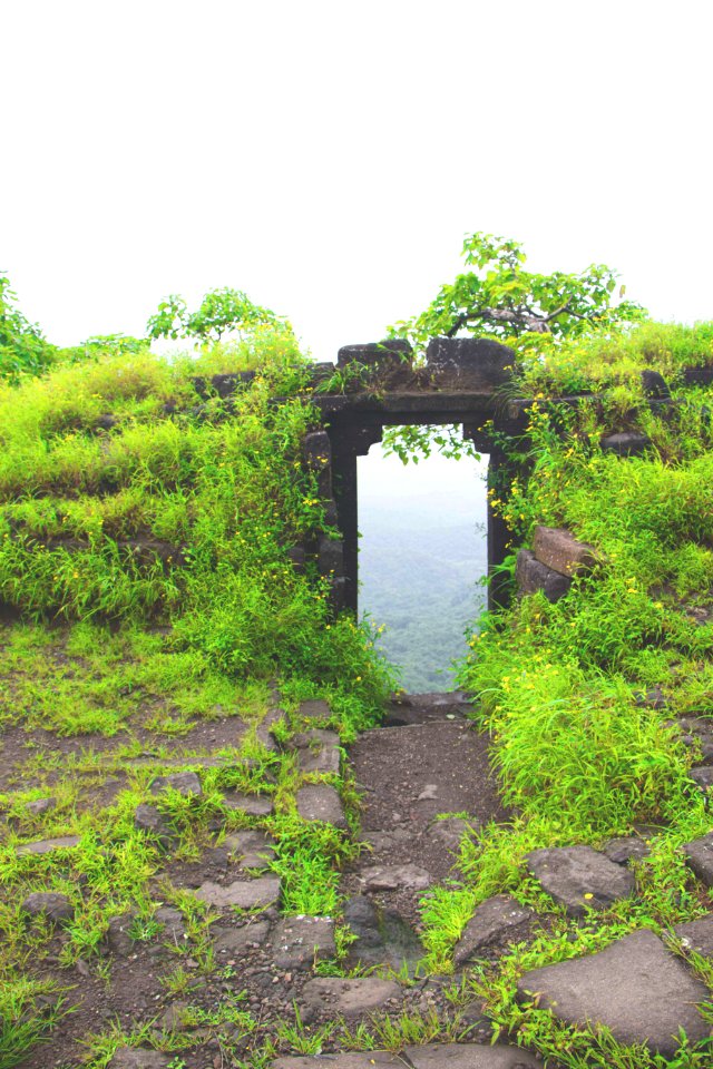 Karnala bird sanctuary, Karnala, India
