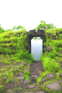 Karnala bird sanctuary, Karnala, India photo