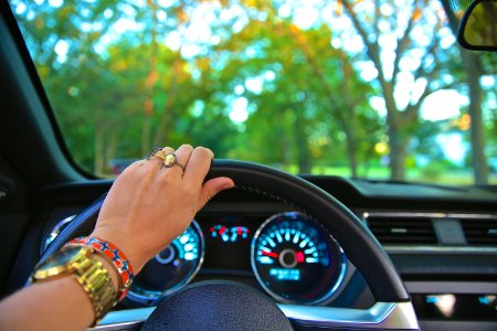 person holding steering wheel photo