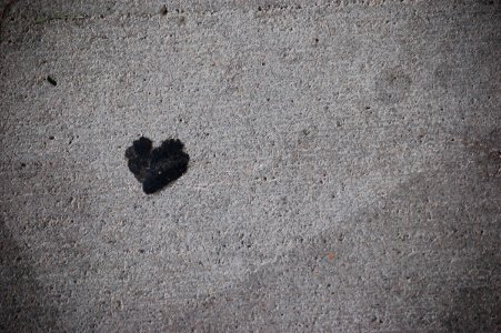 Cement, City, Ground