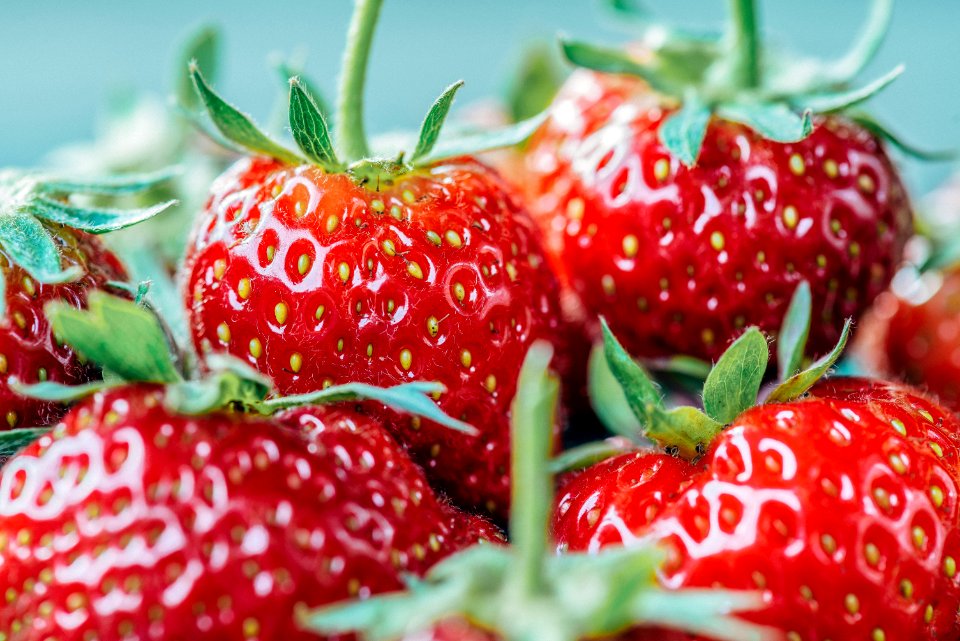 closeup photo of strawberry fruits