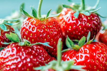 closeup photo of strawberry fruits