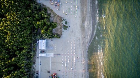 aerial photography of road near trees photo