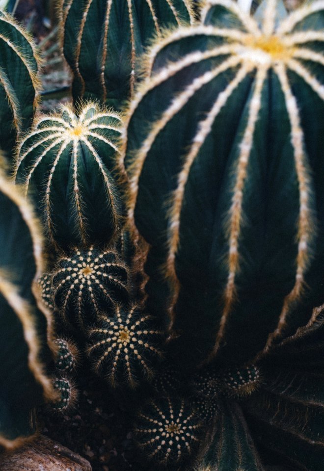 Volunteer park, Seattle, United states