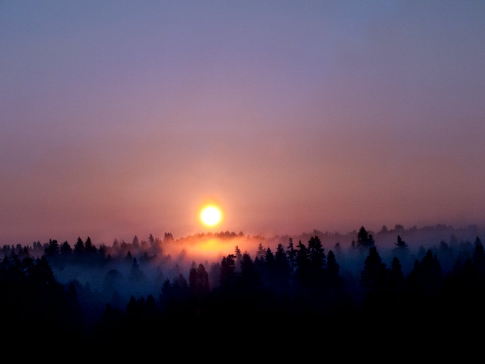 Vancouver, Nature, Canada