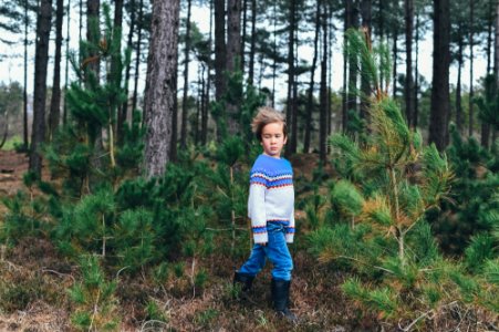 kid near tree lot during daytime photo