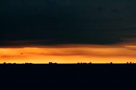golden hour silhouette photography photo