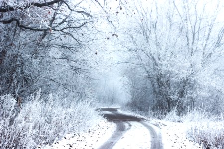 Tambov, Russia, Frozen photo