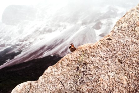 Torres del paine national park, Chile, Hike