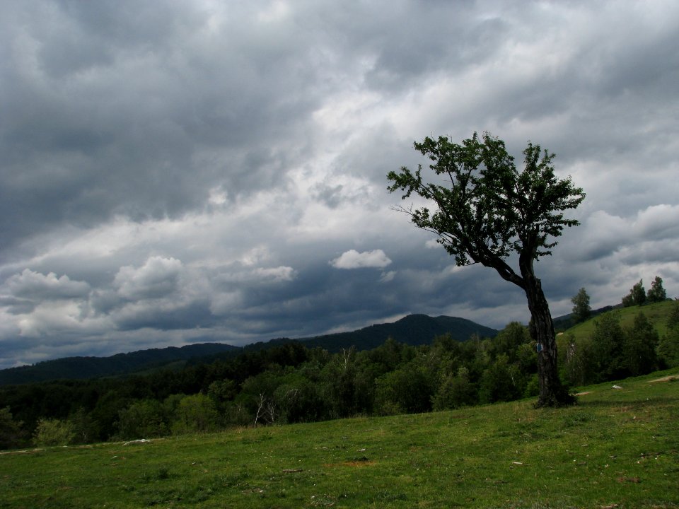 Munii cpnii, Romnia