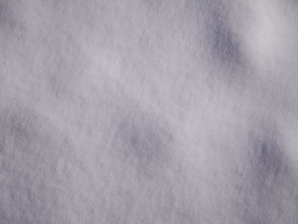 North carolina, United states, Grey