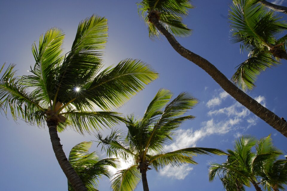 Vacations sun dream holiday