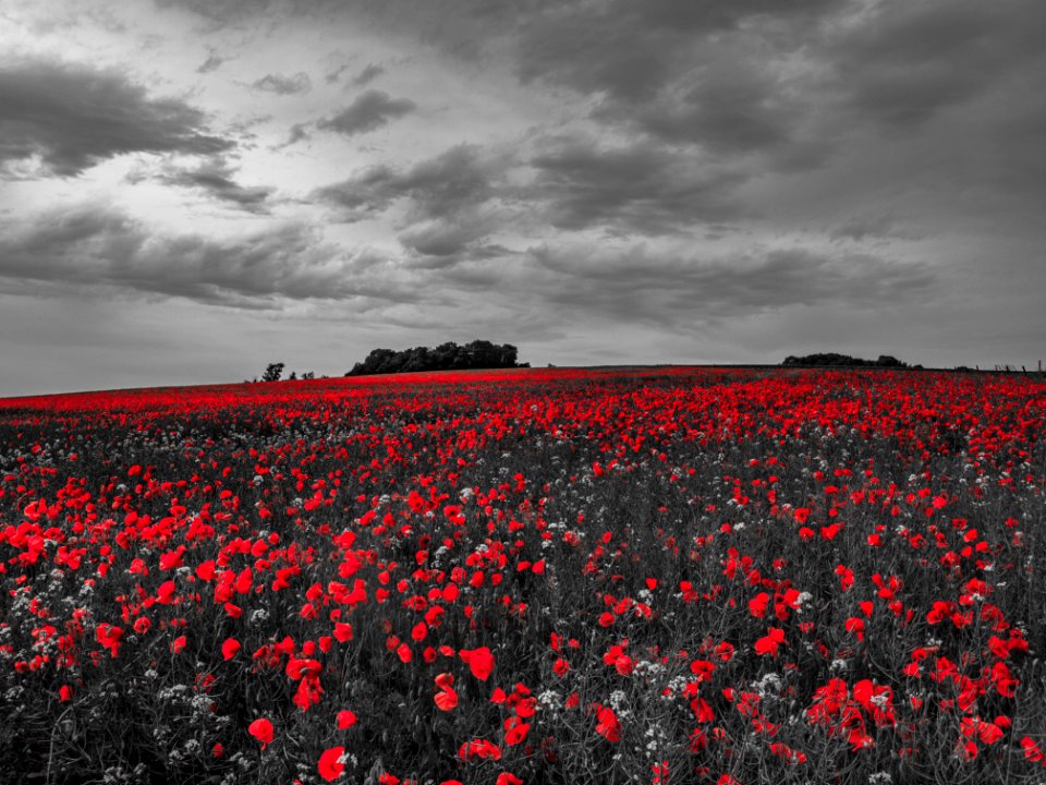 Songeons, France, Wave
