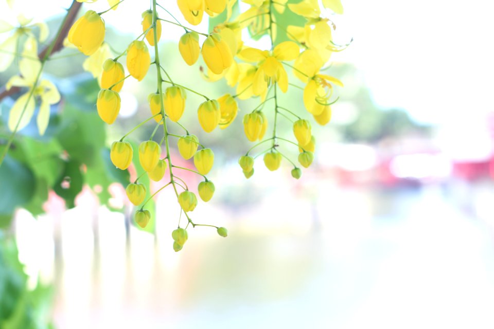 Taiwan, Chiayi city, Jhih