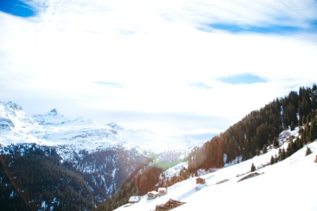 trees near mountain during daytime photo