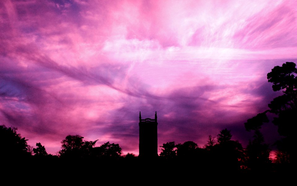 silhouette photo of trees and building under purple sky at daytime