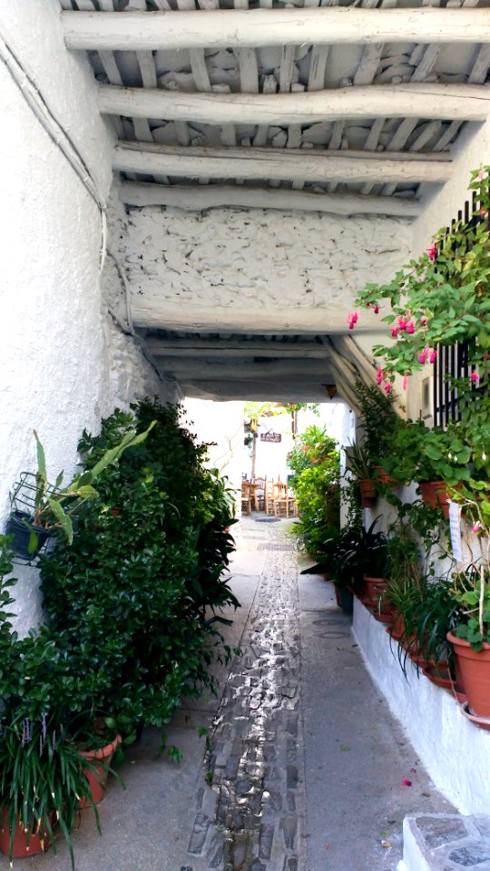 Rustic, Plants, Pots
