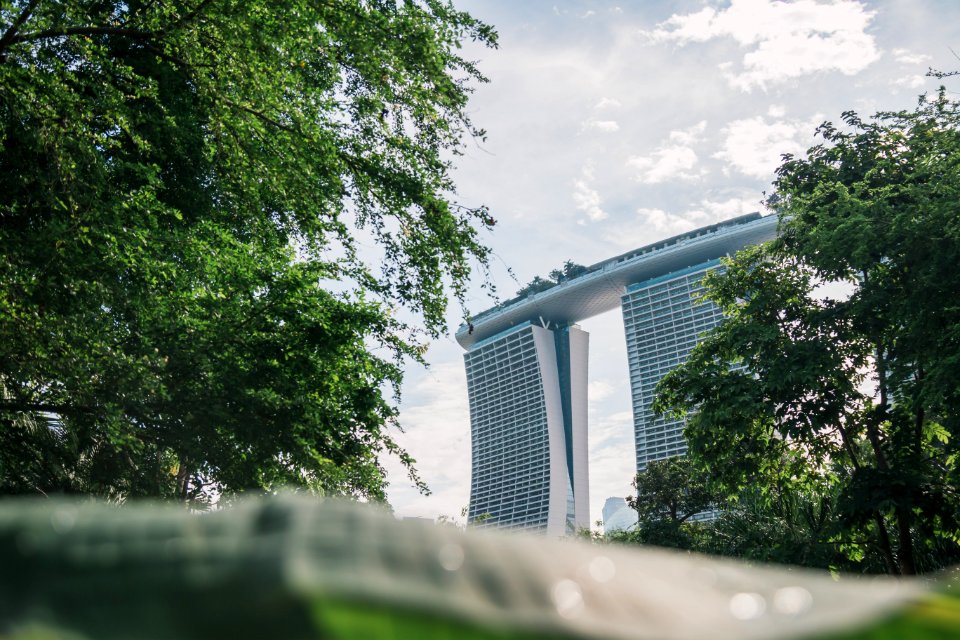 Singapore, Building, Trees