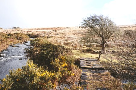 Great western greenway, Ireland, Wind