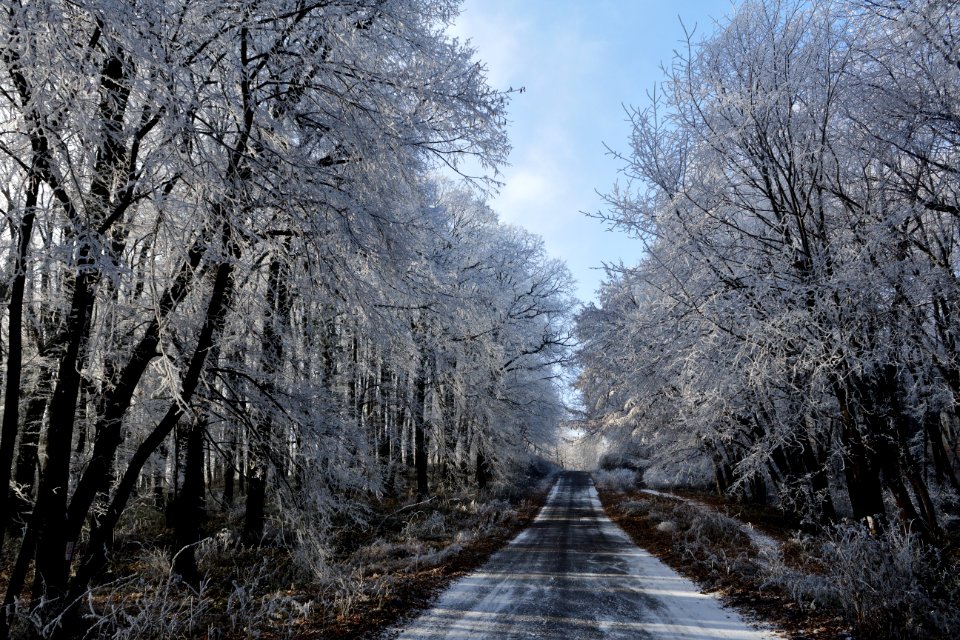 Fru ka gora, Frost, Winter