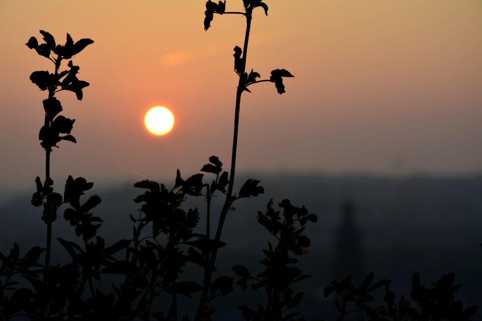 Wrzburg, Germany, Golden hour photo