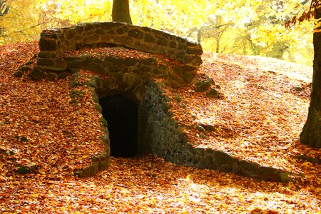 Goal autumn fall foliage