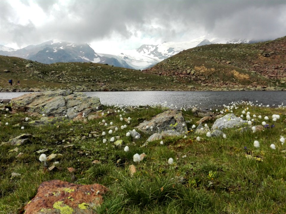 Lago marmotta, Italy