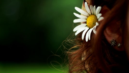 Girl, Summer, Hair