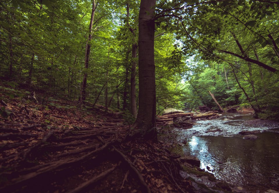 Ridley creek state park, Glen mills, United states