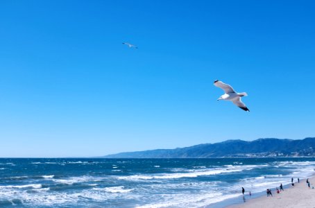 Santa monica pier, Santa monica, United states photo