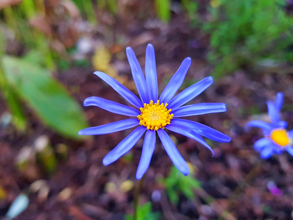 Samsung galaxy s8 photography chhouknet com