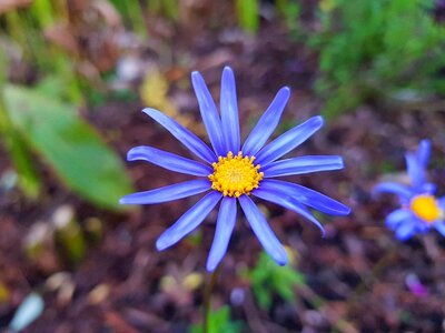 Samsung galaxy s8 photography chhouknet com